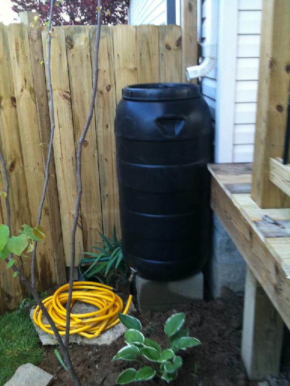 Rain Barrels Offer Effective and Sustainable Use of Rain Water